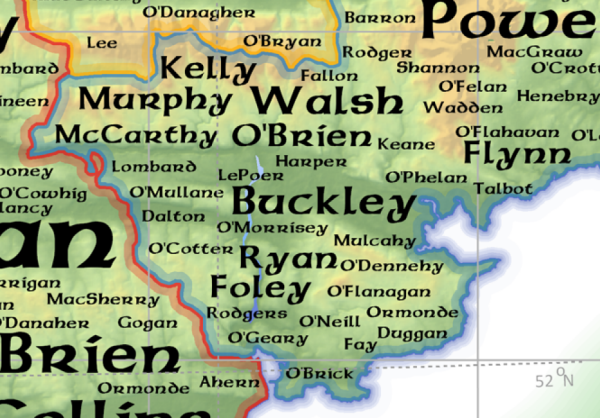 irish travellers surnames